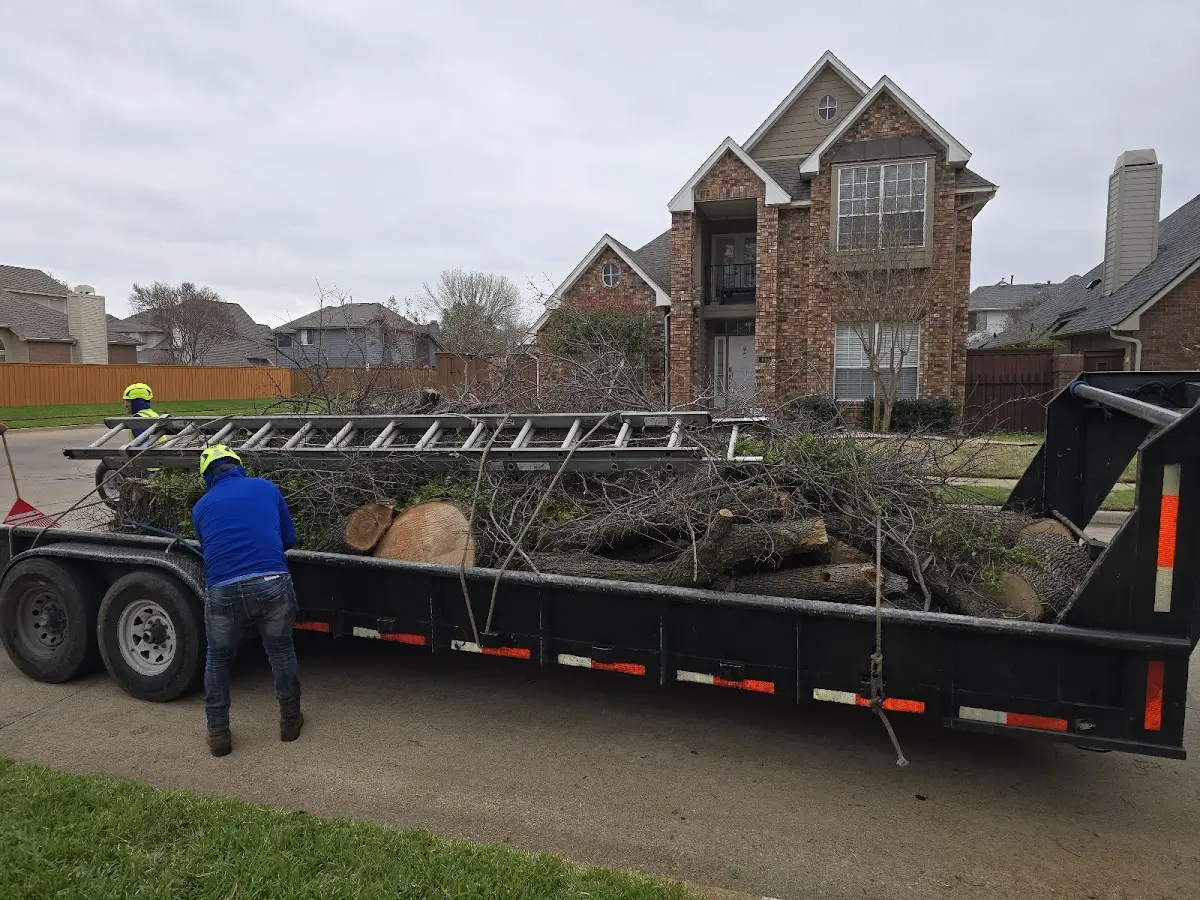 Expert Lot Clearing with proper safety equipment in Lolita